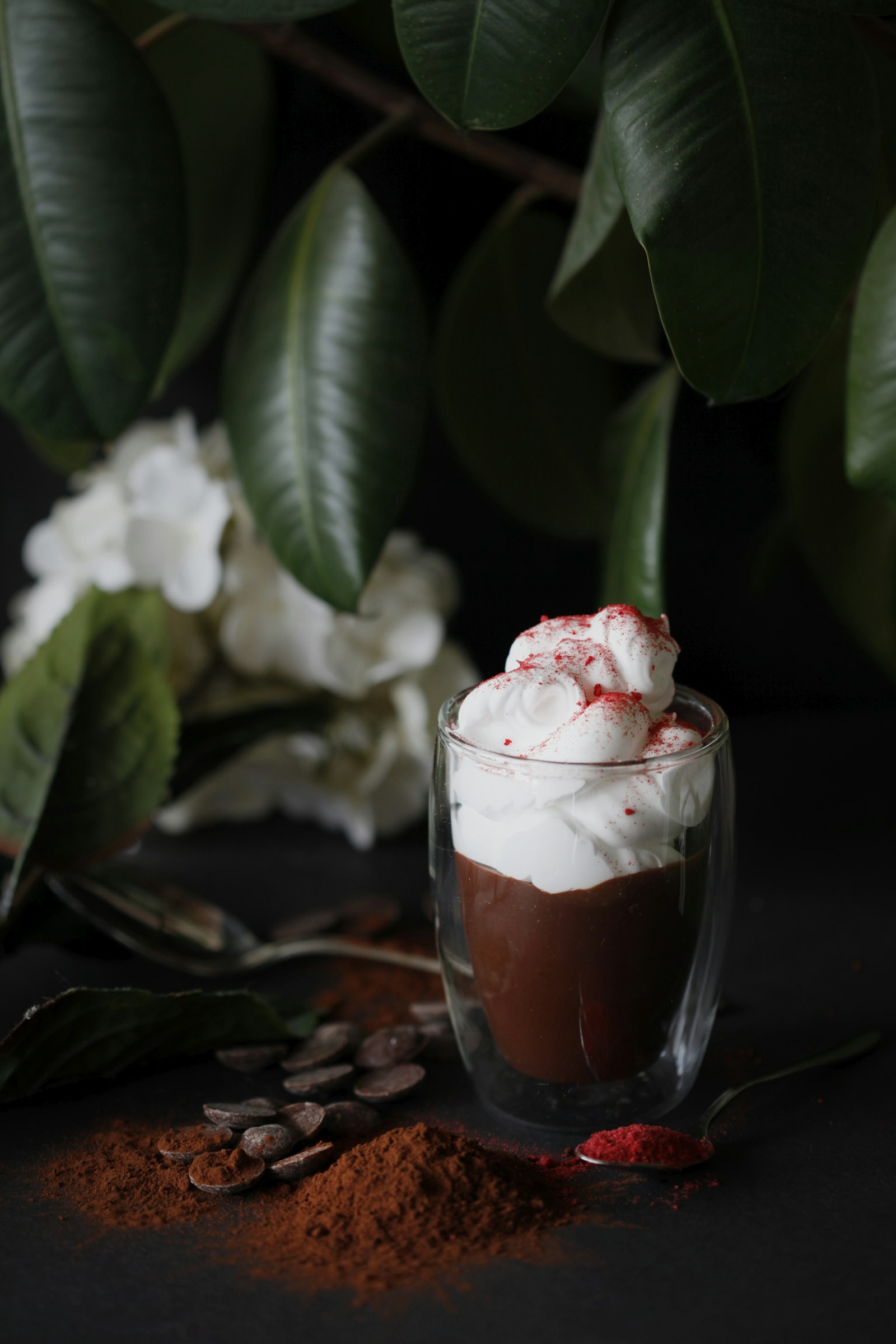 Canon EOS 5D Mark II + Canon EF 100mm F2.8 Macro USM sample photo. Chocolate drink with whipped photography