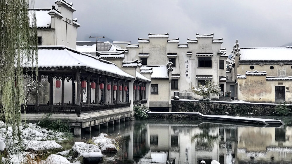 white building beside body of water