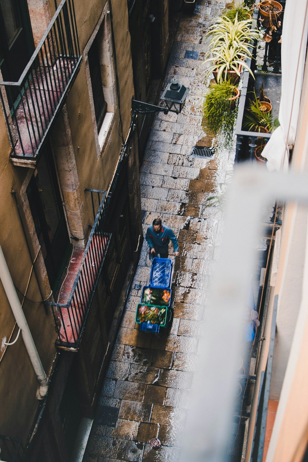 man blue pushing cart during daytime