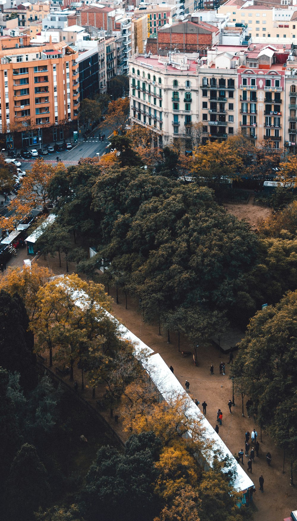 high angle photography of people walking between trees