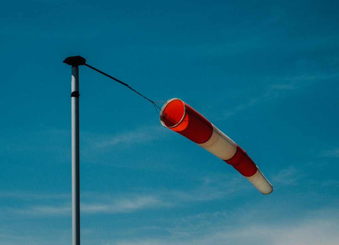 black and red corded device