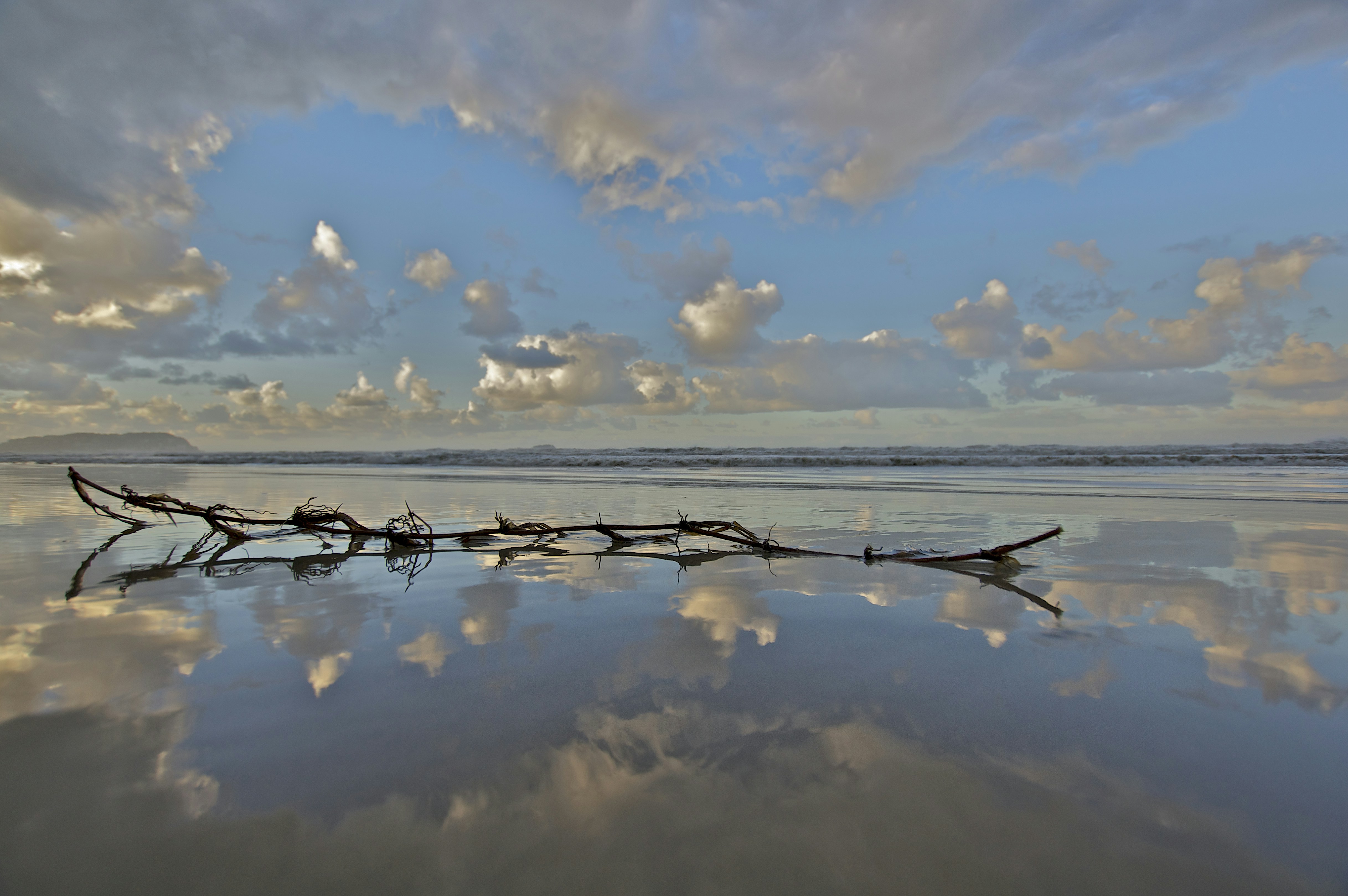 Photo by wolfgang_hasselmann