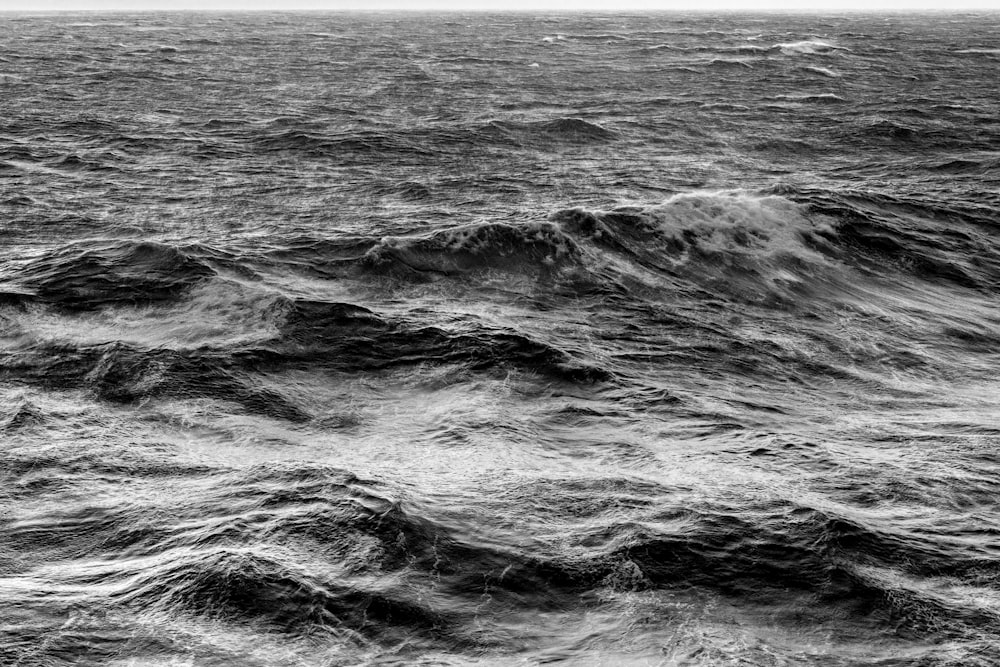 grayscale photo of sea