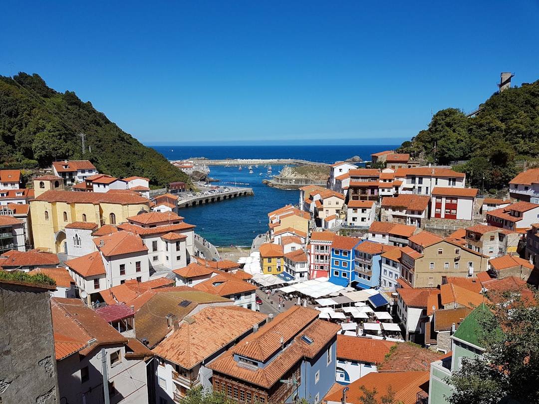 aerial view of houses facing ocean,