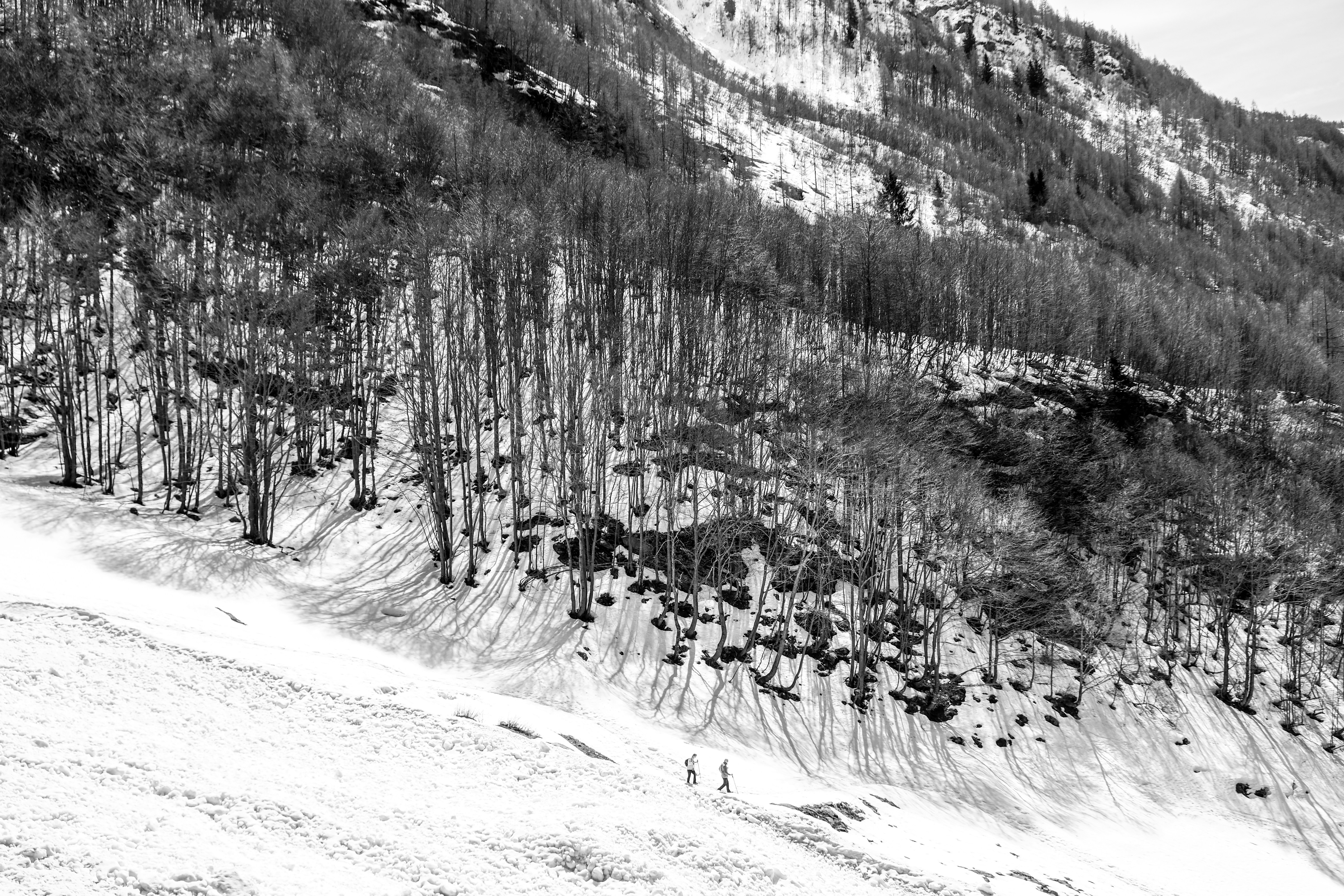 Photo by albertobigoni