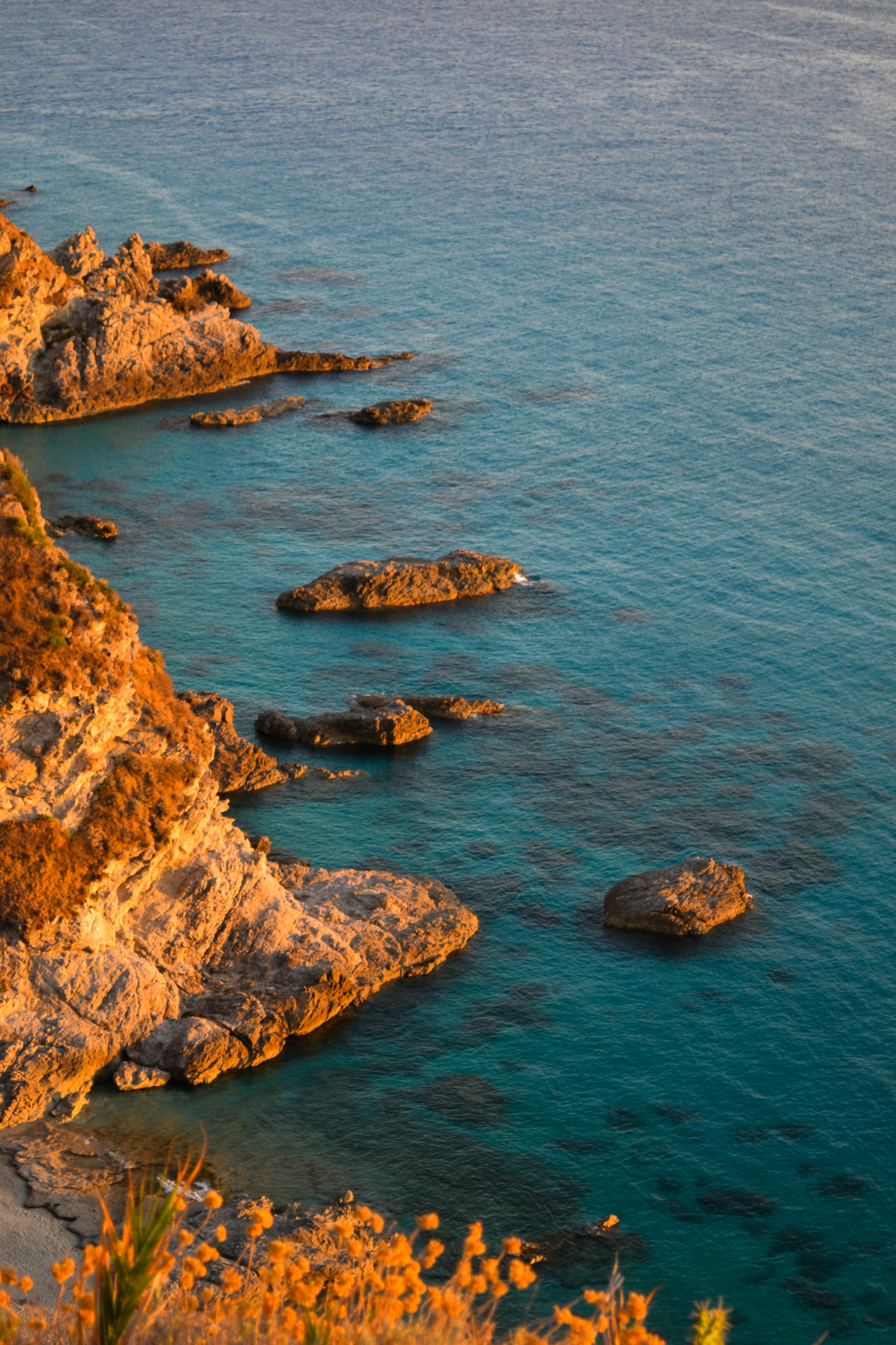 Photo by serenarepice