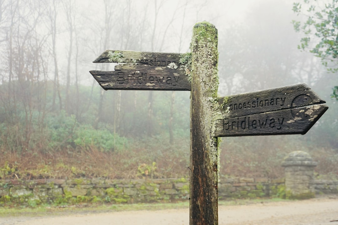 gray wooden road sign