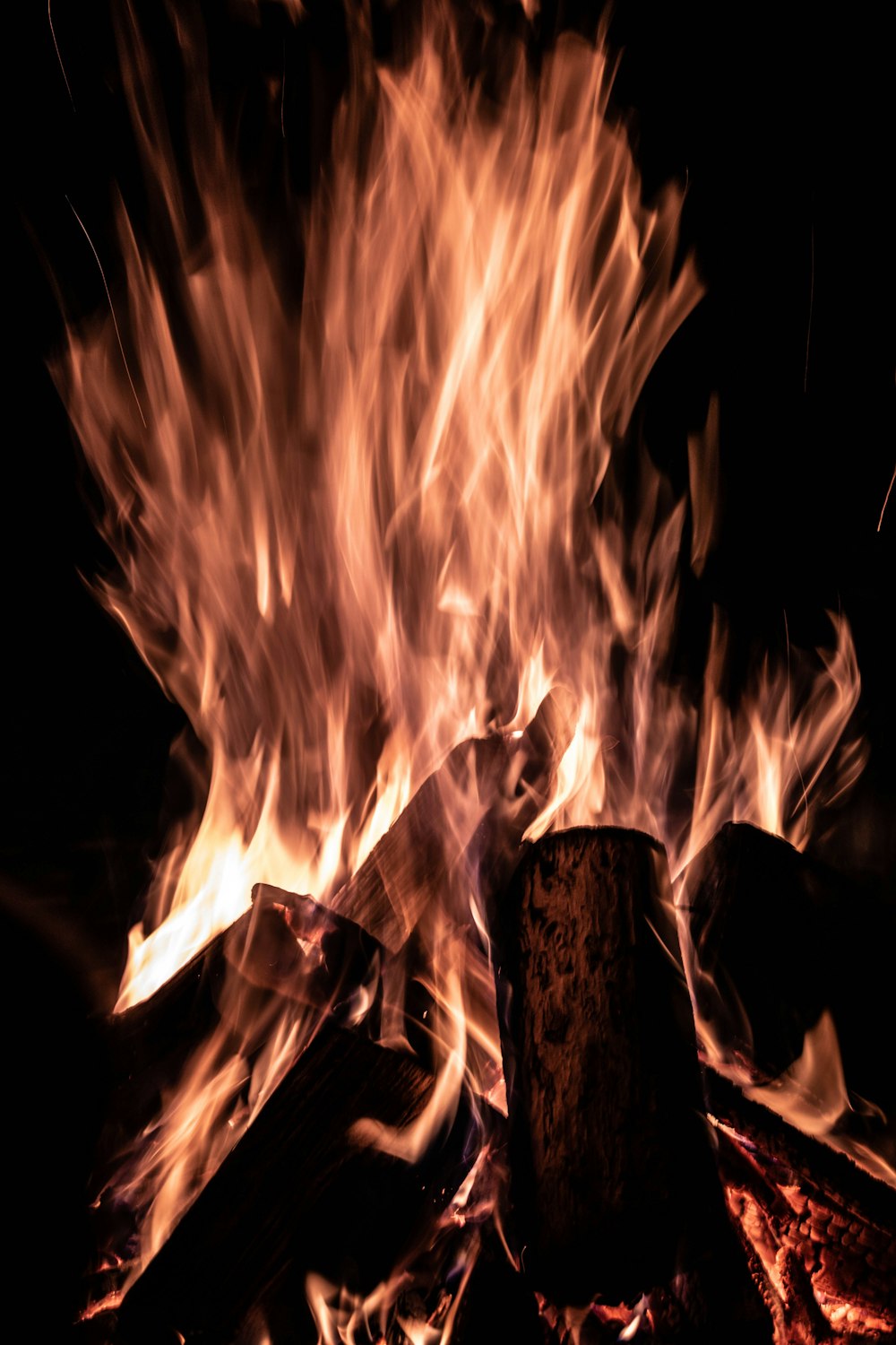 bonfire