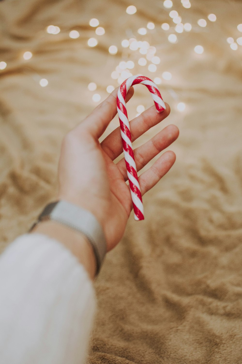 person holding candy can