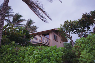 A peaceful wooden bungalow nestled among lush green fruit trees under a bright blue sky.