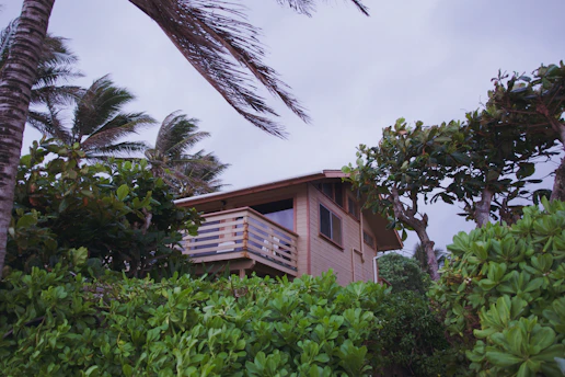 A serene wooden joglo house surrounded by lush tropical greenery under a warm amber sunset.