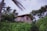 A cozy wooden bungalow house surrounded by greenery on a sunny day.