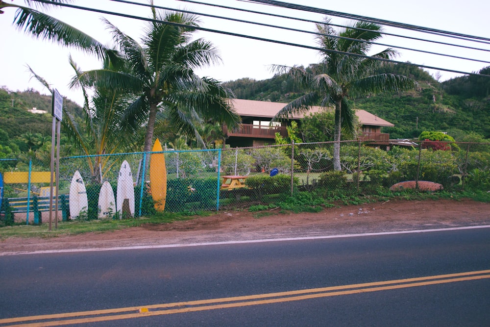 surfboards near fence