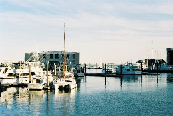 A serene marina with various boats docked peacefully.