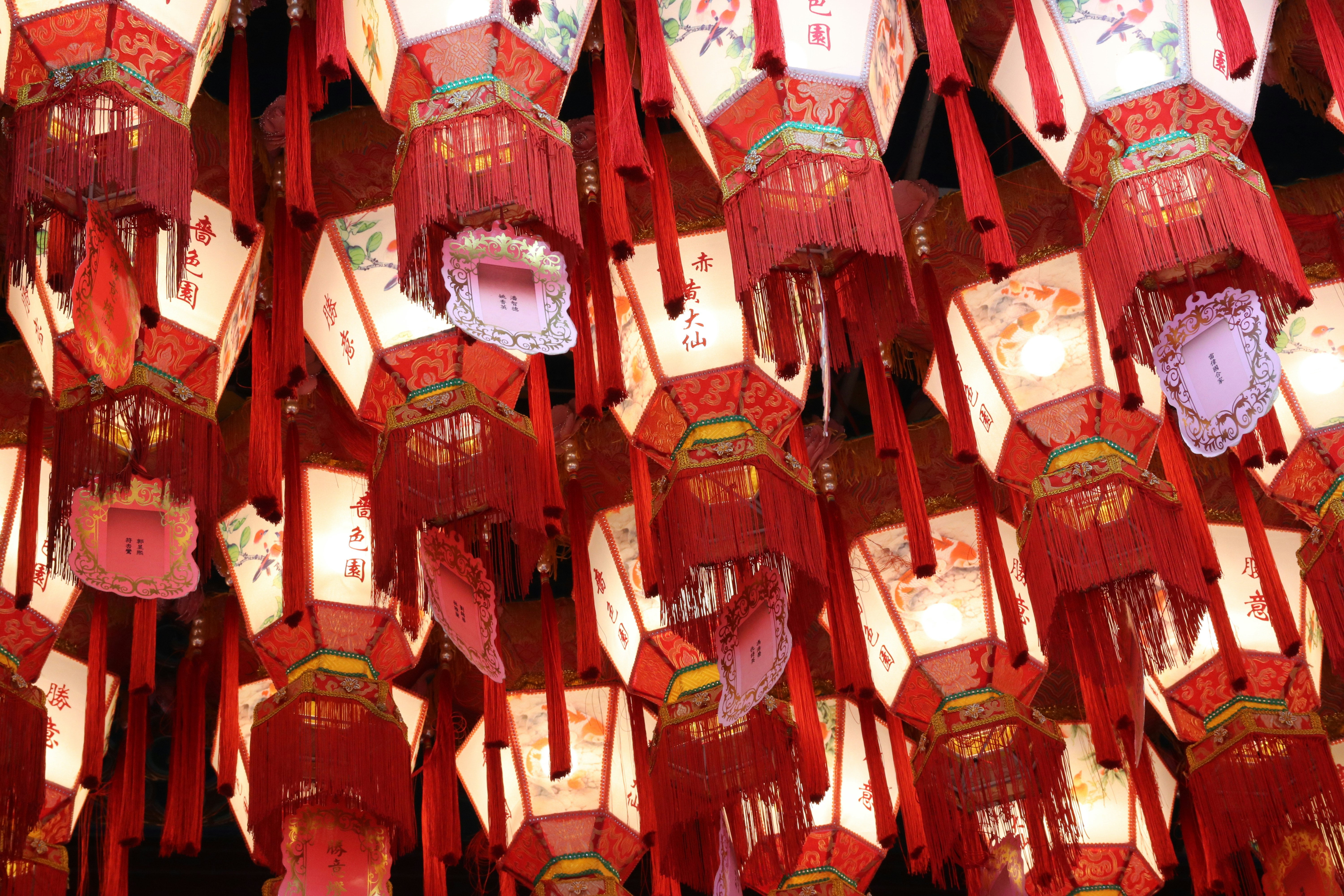 Photo by nielssteeman