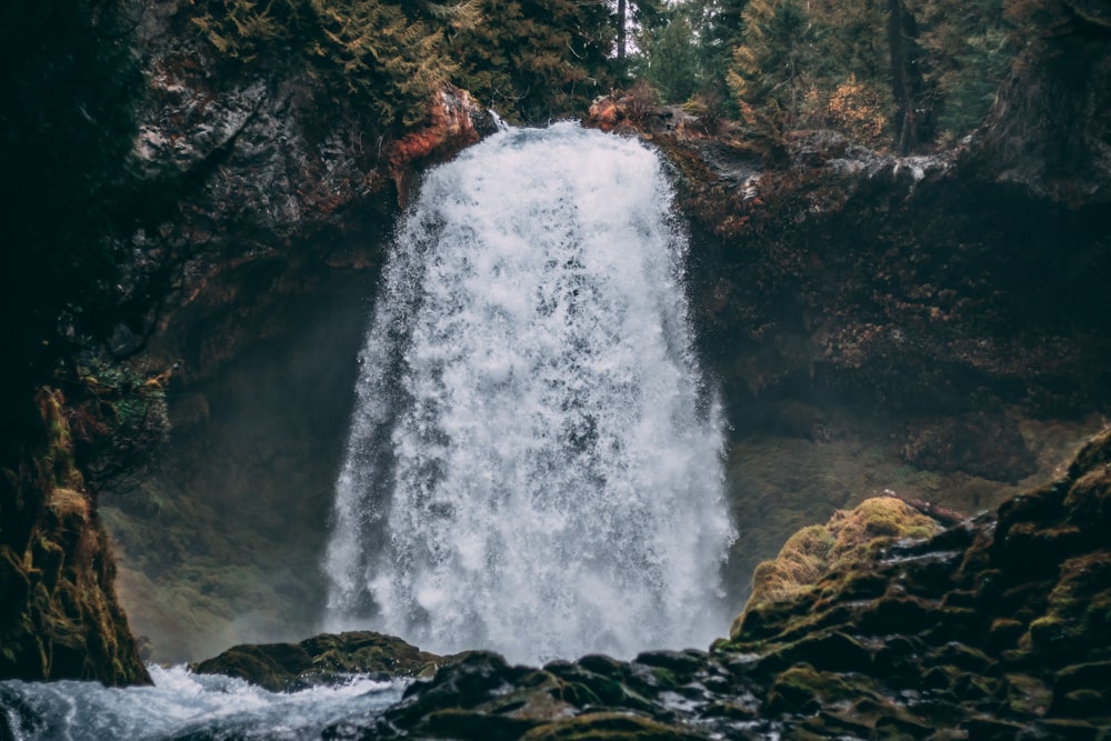 Wasserfälle im Wald in der Naturfotografie