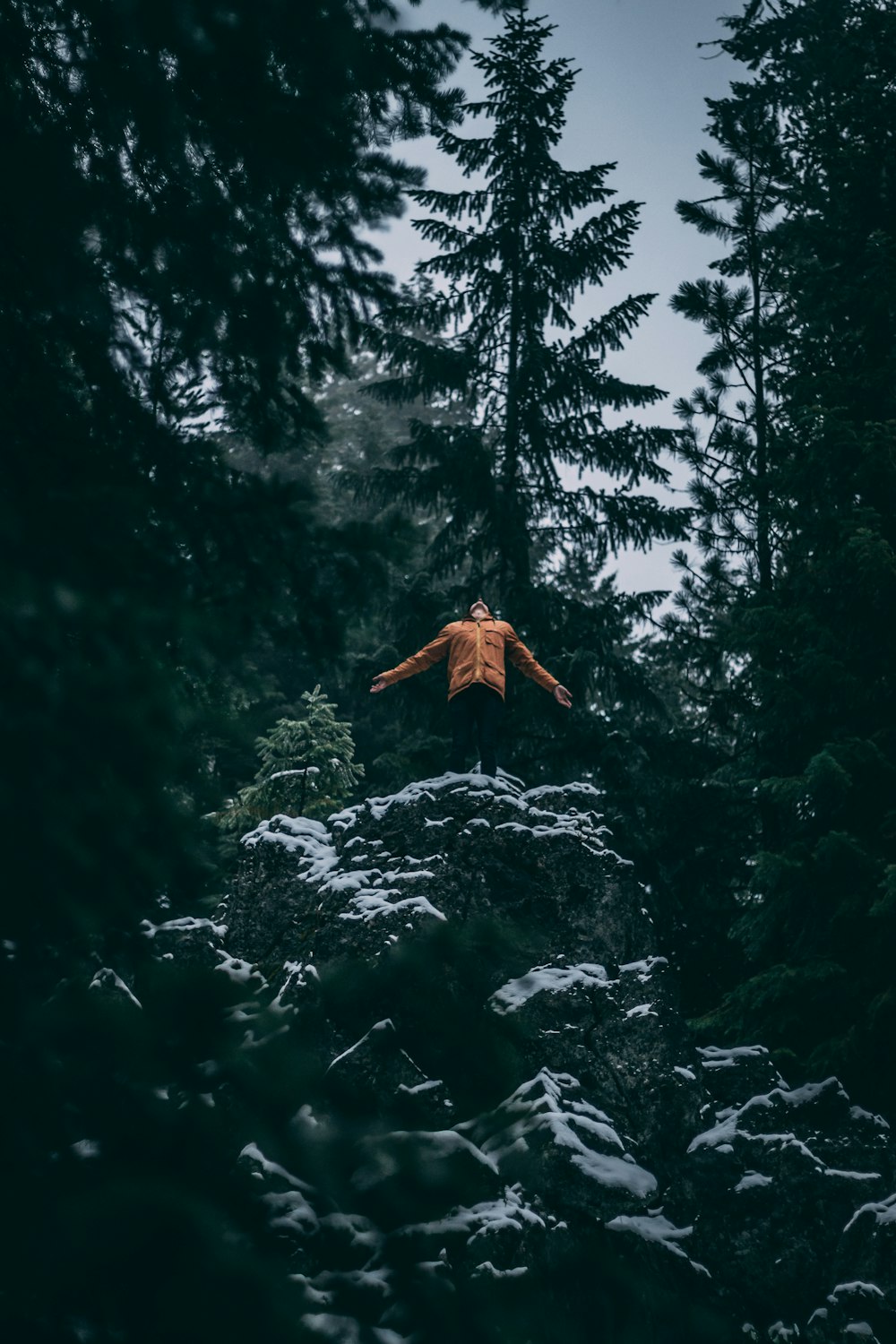 man standing on the rock surrounded by trees