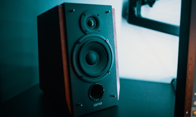 black and brown bookshelf speaker on black surface