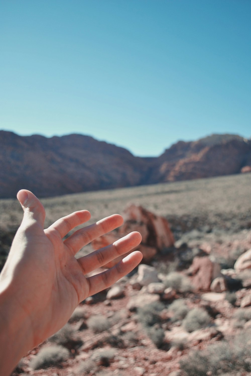 person with open palm pointing rocky mountain