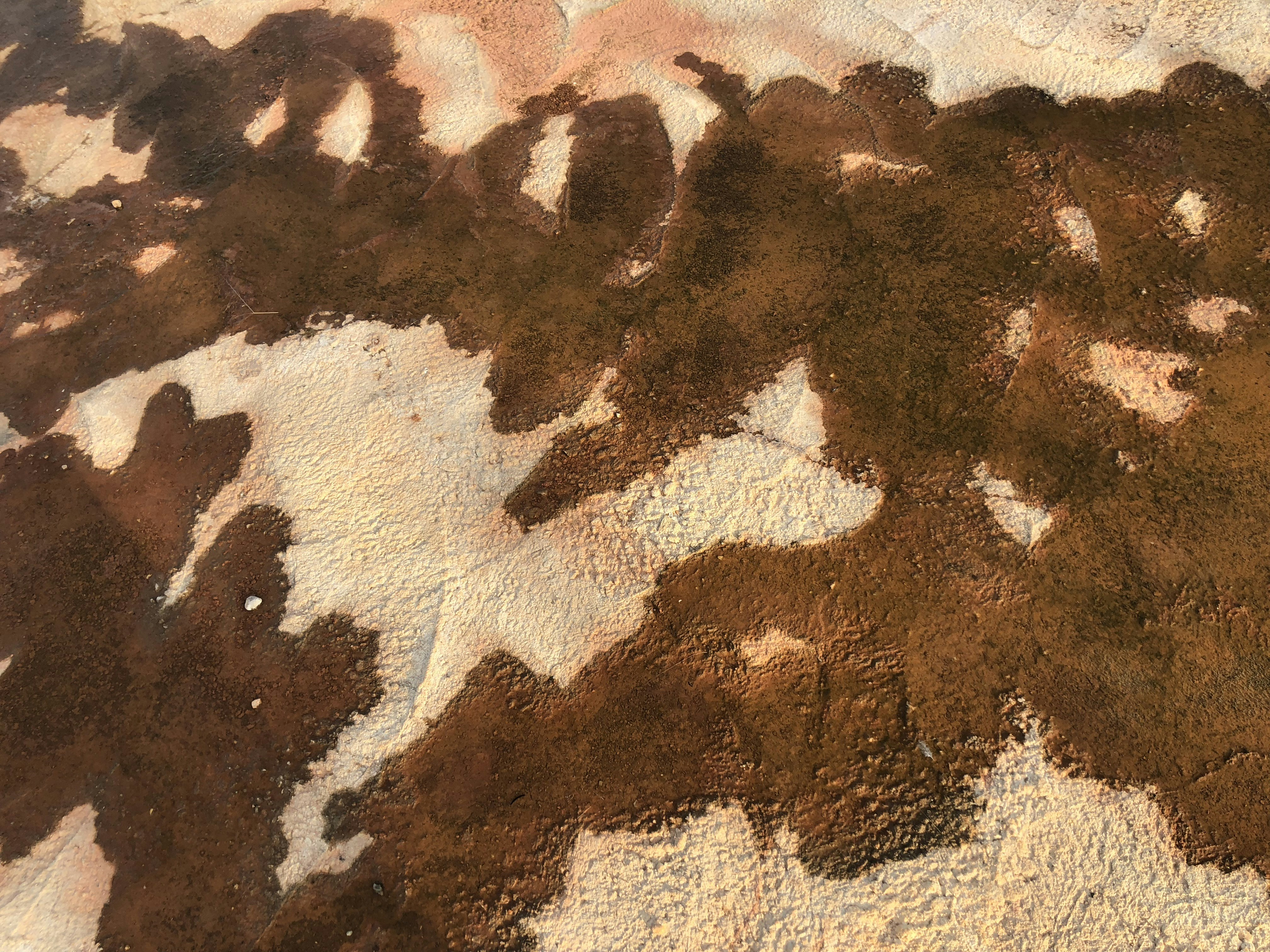 Art Without Earth's Inspiration (image credits: unsplash)