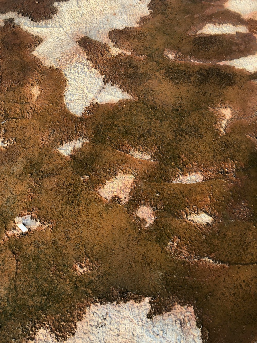 brown and white textile