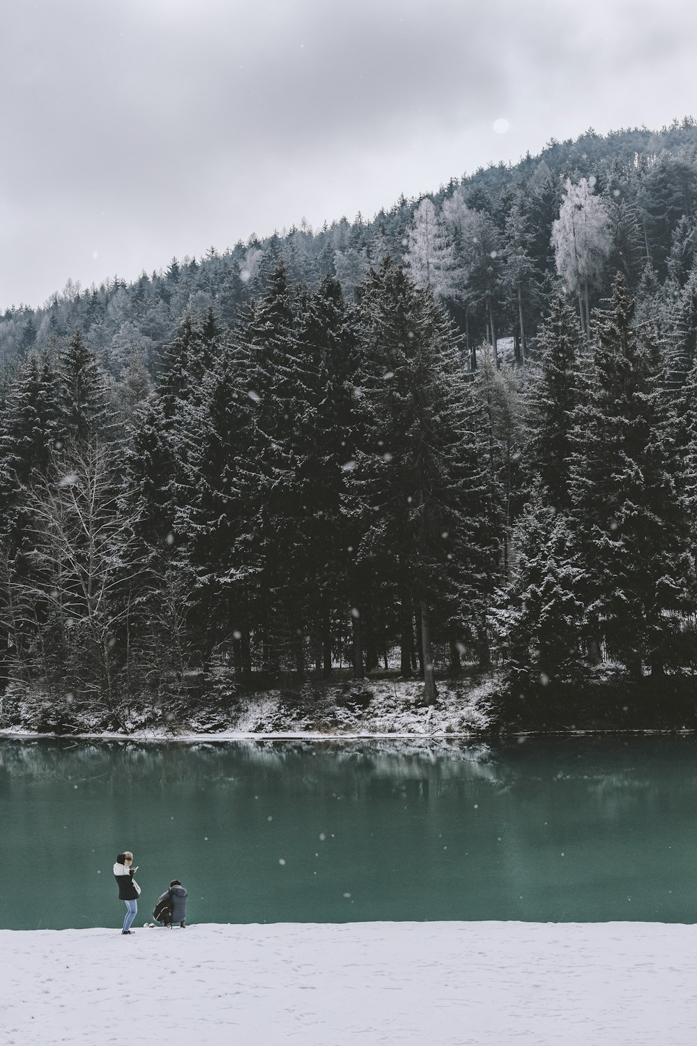 two men on edge of body of water facing pine trees under gray sky