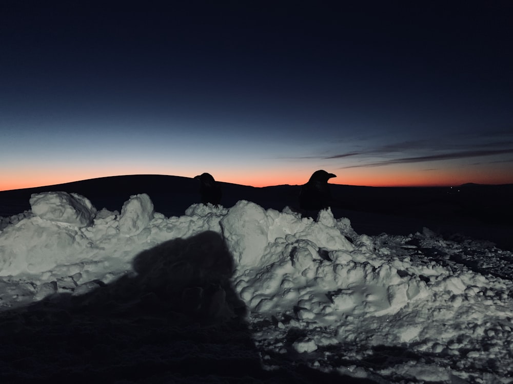 snow-covered land during golden hour