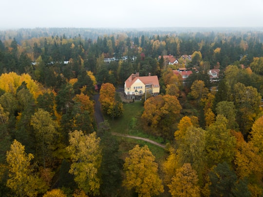 photo of Helsingintie 2 Temperate broadleaf and mixed forest near Vantaa
