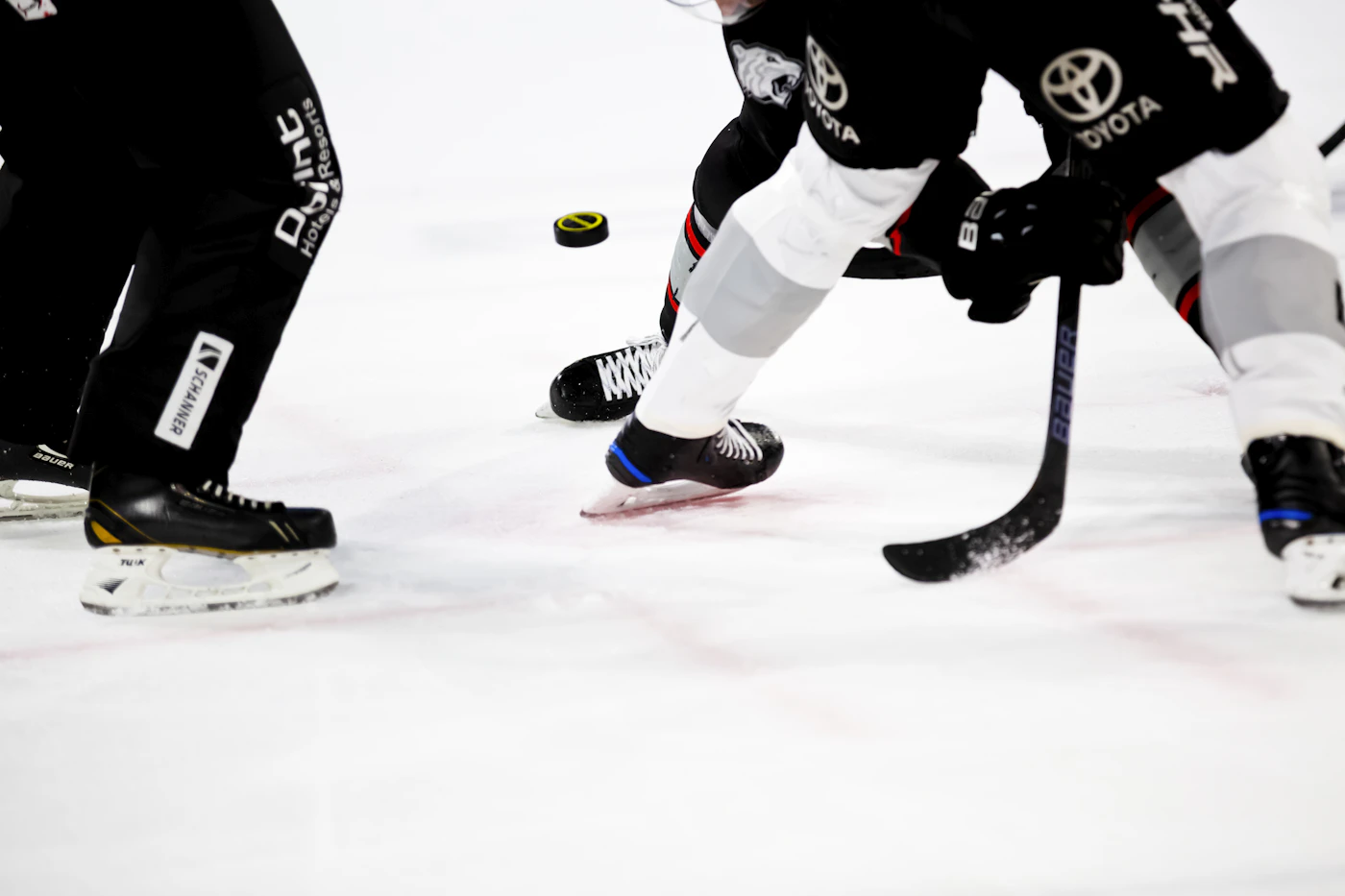 People playing ice hockey