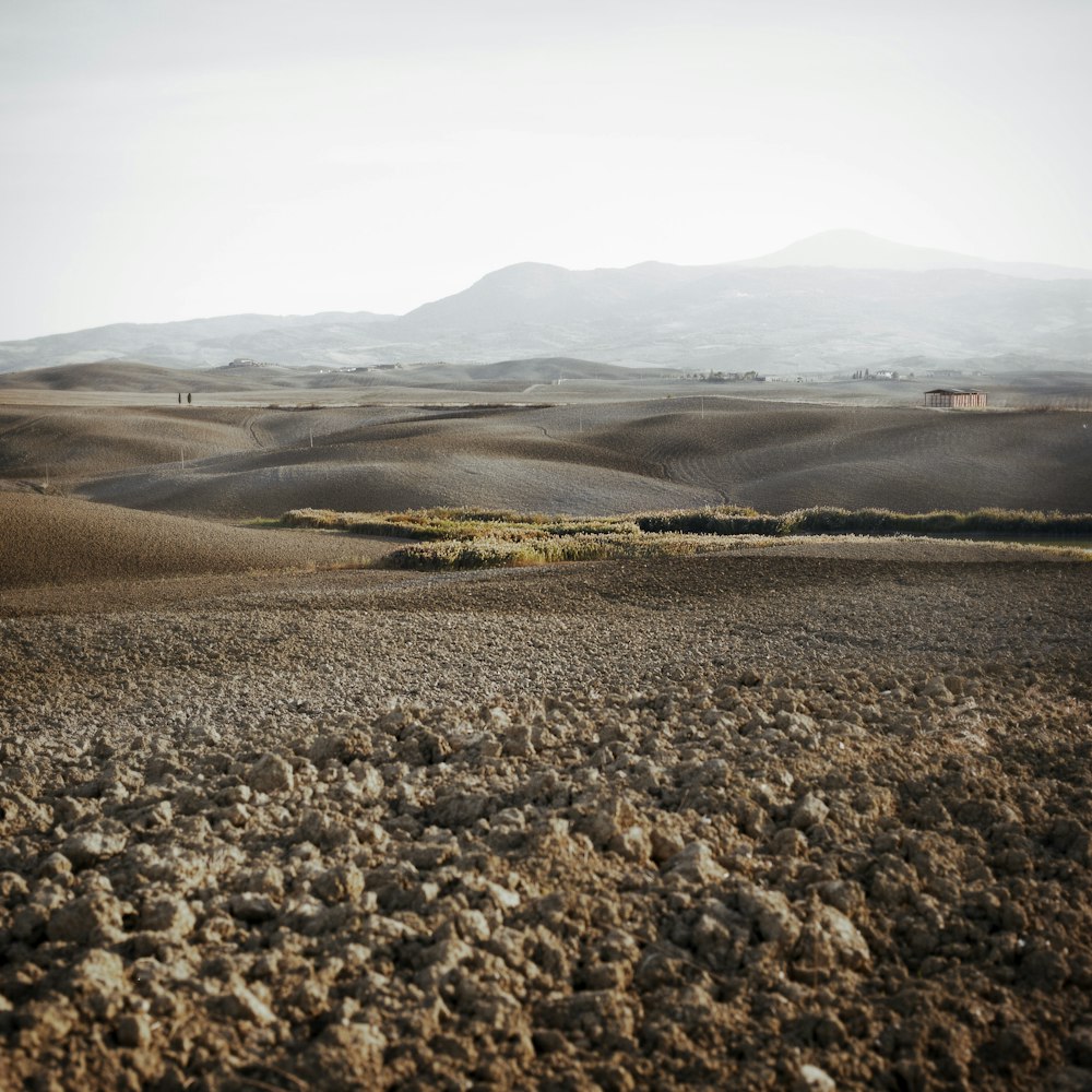 fotografia di paesaggio della steppa