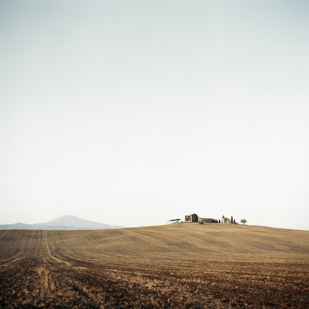 campo marrone durante il giorno