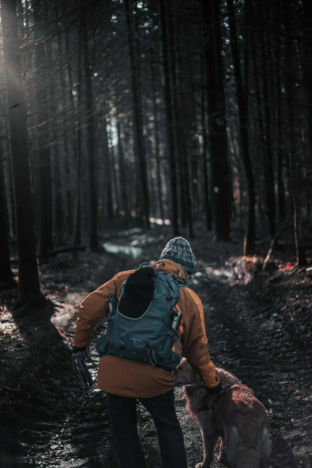 man with hydration pack walking in forest together with dog