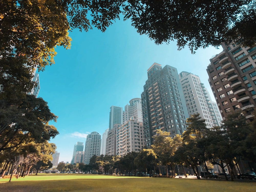 low-angle photograph of high rise buildings