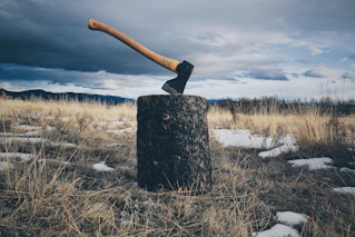 brown handled axe on log