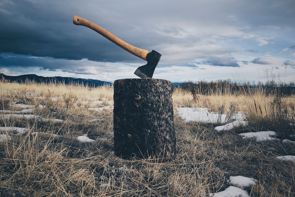 brown handled axe on log