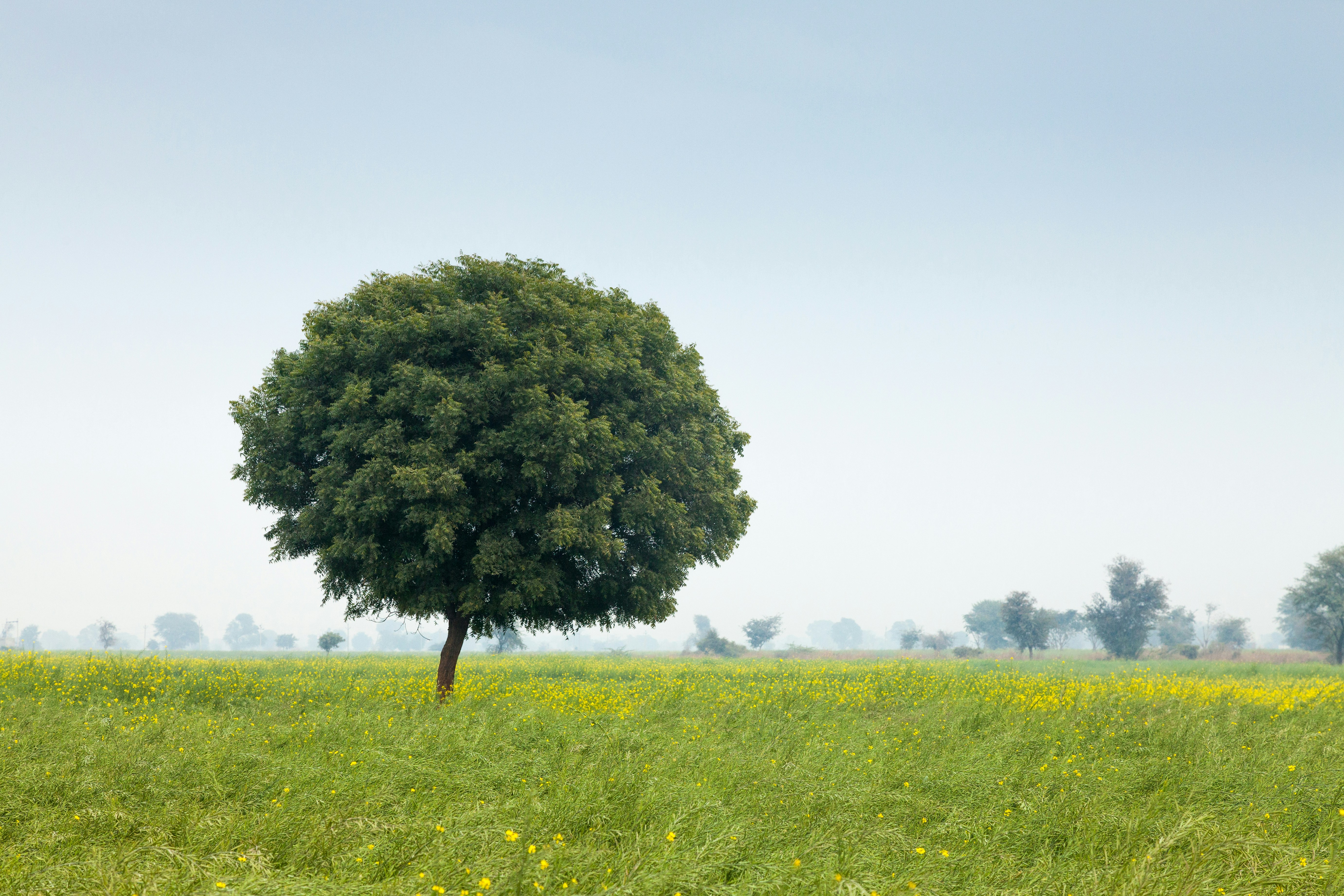 リモートワーク 環境 整える関連画像(1)