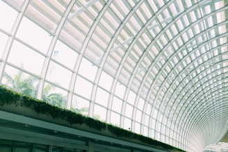 A modern architectural design featuring a large, curved glass roof with grid-like patterns. The ceiling allows natural light to stream in, illuminating the interior space. Lush green plants line the lower section of the glass panels, adding a touch of nature to the sleek, futuristic setting.