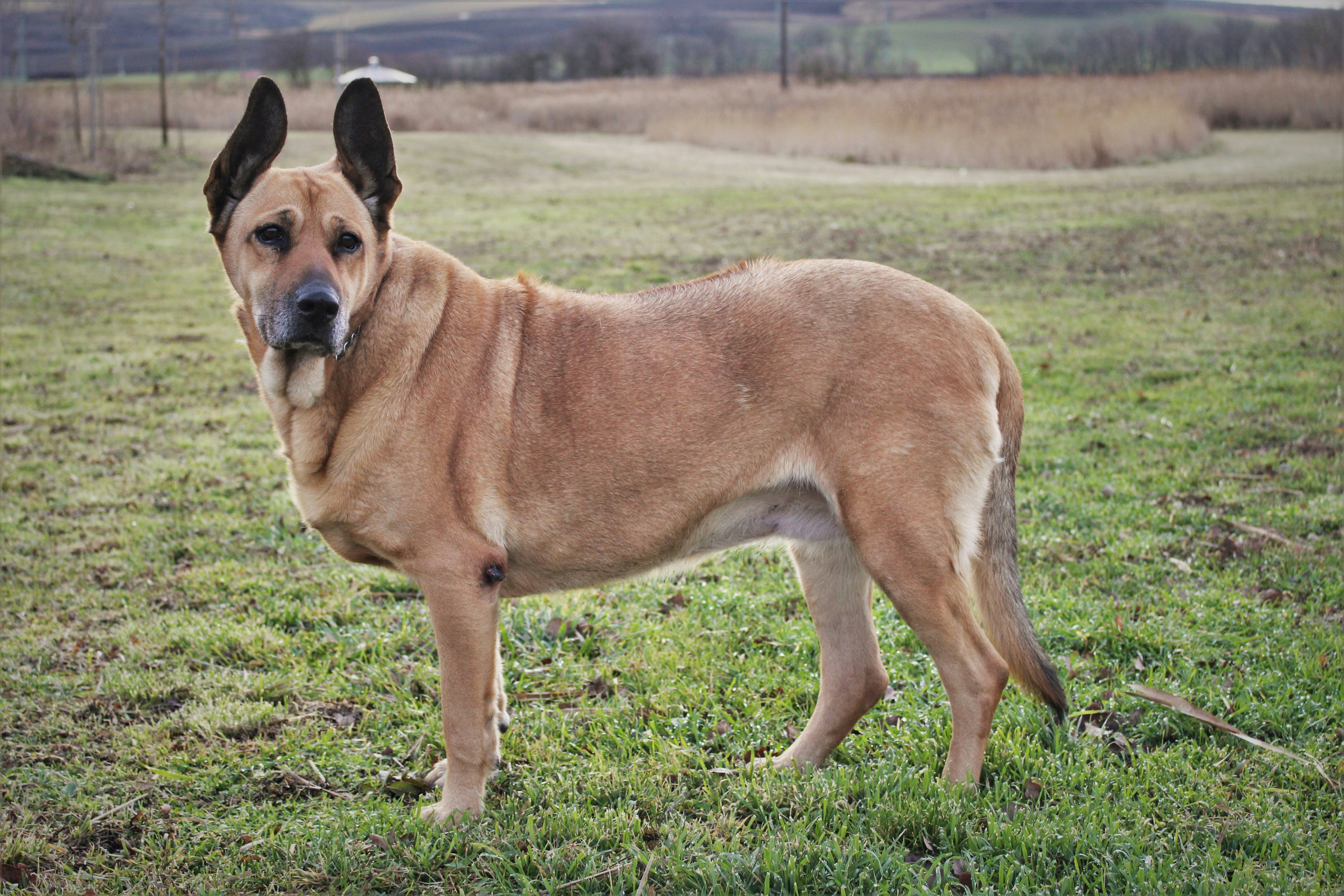 Photo by marjorylucabaxter