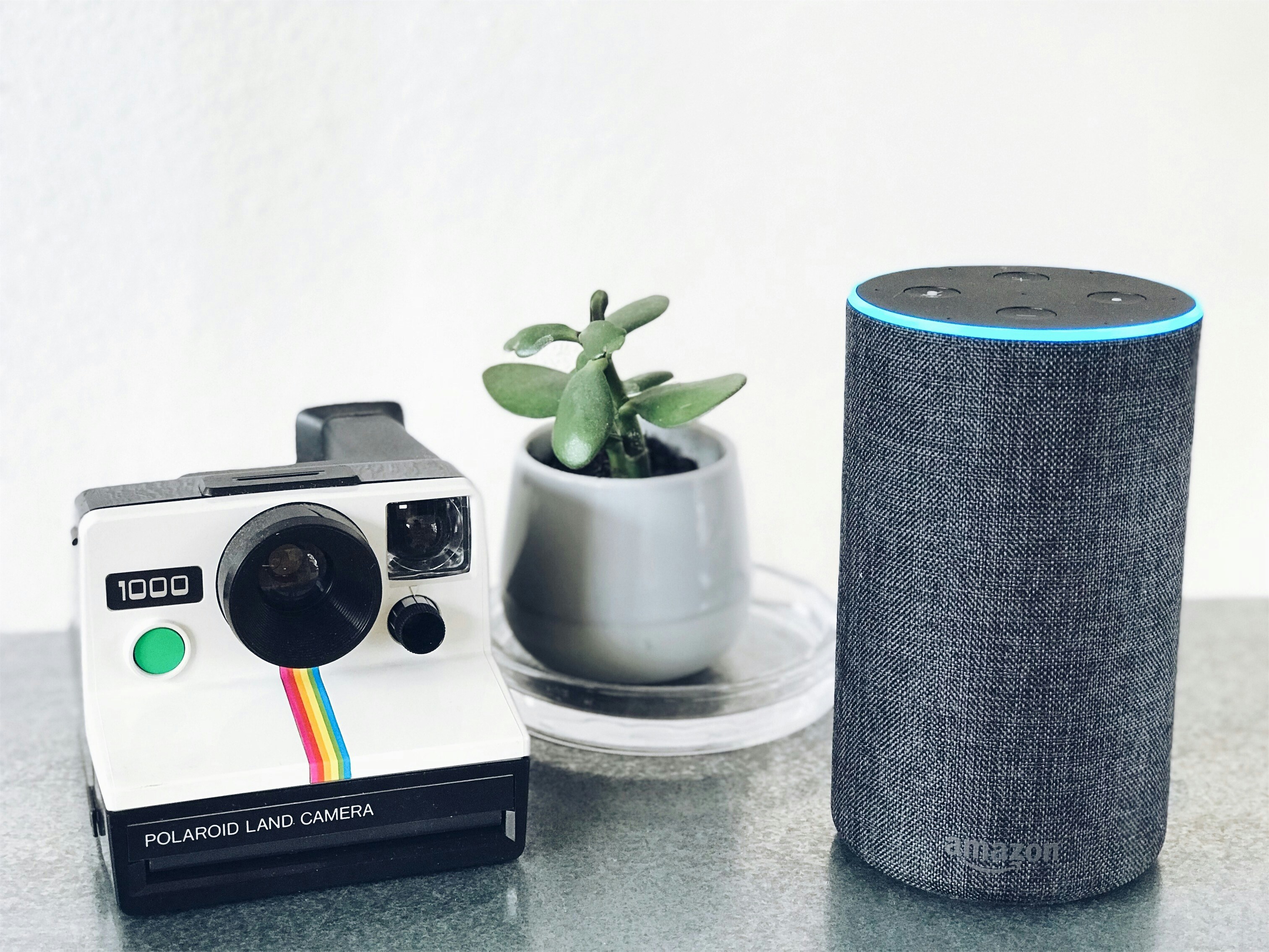 polaroid land camera beside Amazon Echo