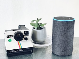 polaroid land camera beside Amazon Echo