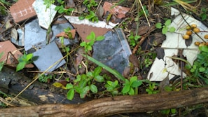 Scattered fragments of broken tiles lie on the ground surrounded by wild vegetation. Various colors of tiles, including brown, grey, and white, contrast with the green leaves and grass around them. The setting appears natural and slightly overgrown, with twigs, leaves, and a log adding to the rustic environment.
