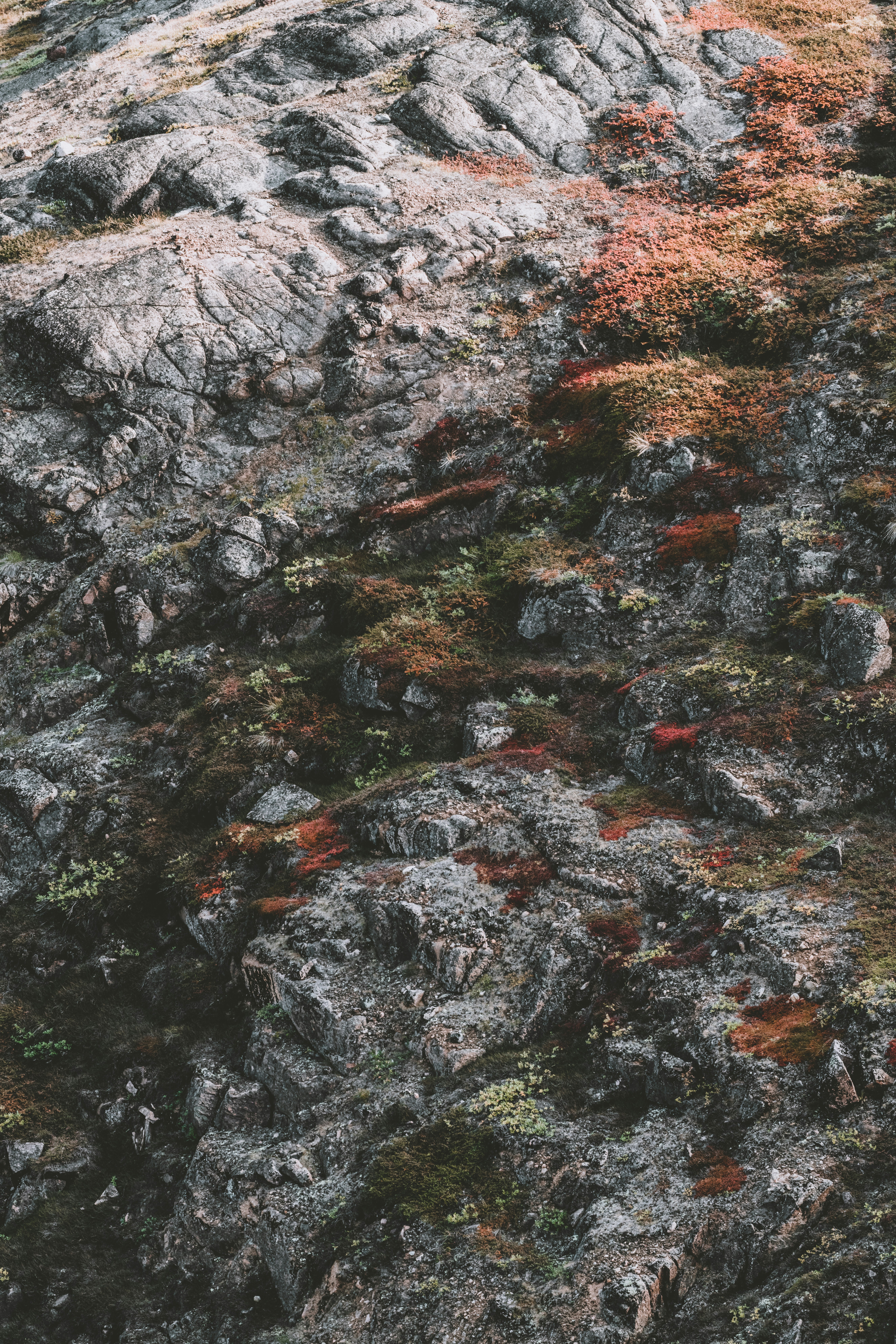 Photo by anniespratt