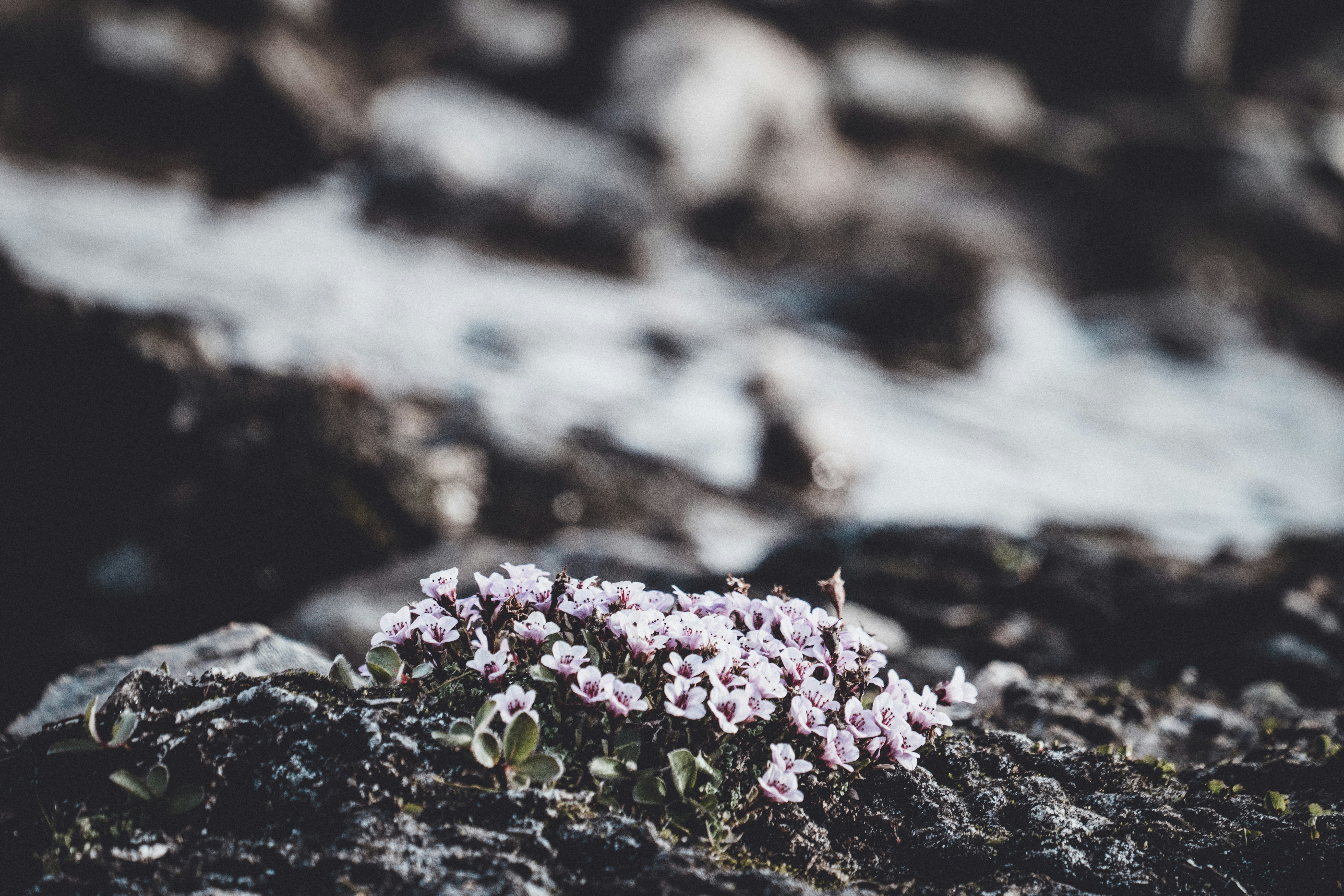 Photo by anniespratt