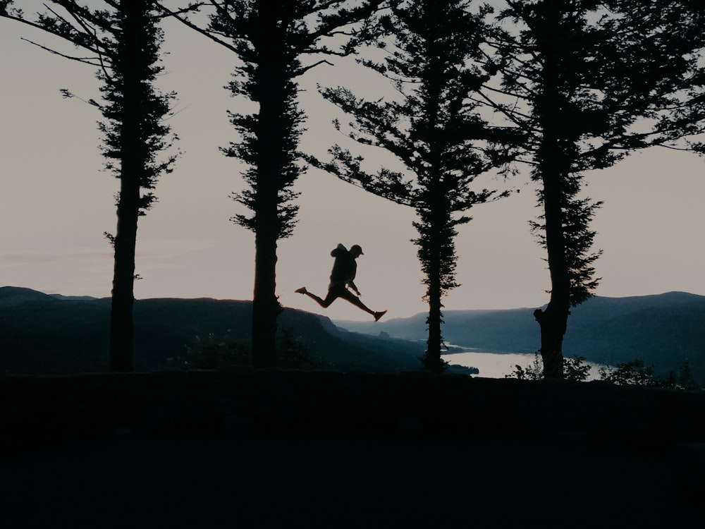 木のシルエットで跳躍する人