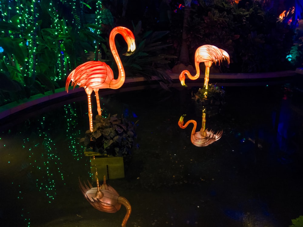 Deux décorations de jardin de flamants roses éclairées en rouge