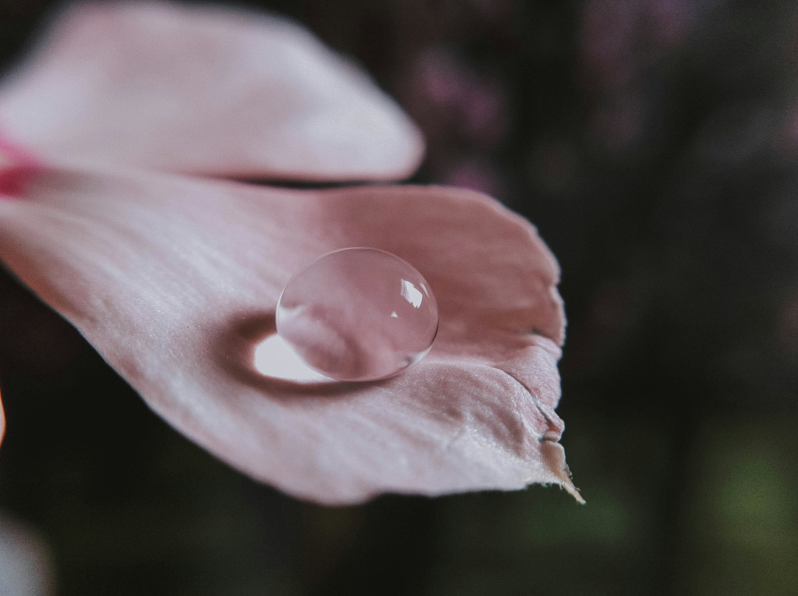 Photo by bianeyre