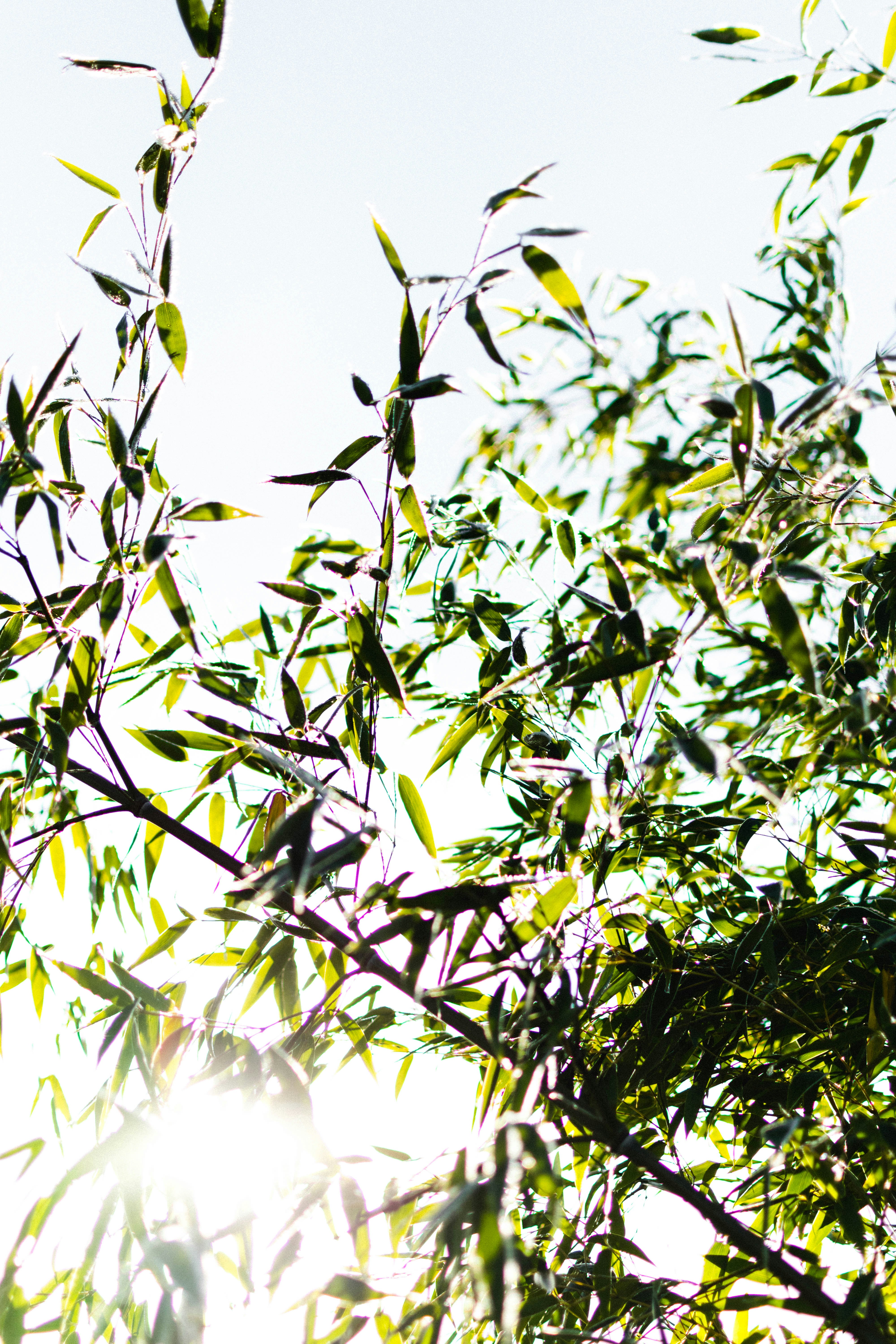 Photo by virussinside