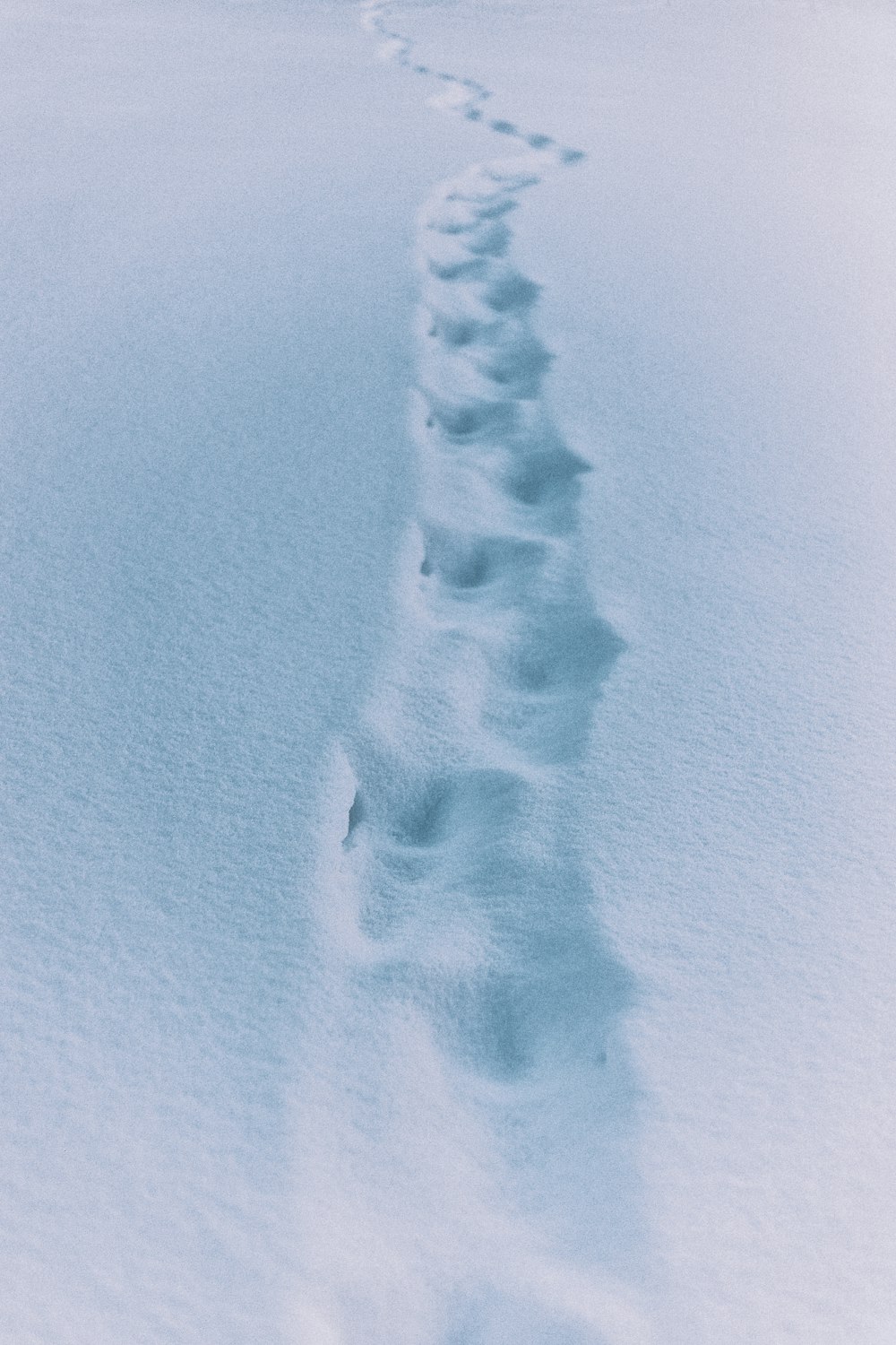 sentiero nella neve
