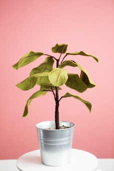 A small artificial plant with green fabric leaves is placed in a metallic pot. The plant is on a white circular surface against a pink background.