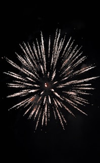 multicolored fireworks display